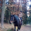 listopad 2011