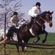 Hubert�k ve Zru�i
