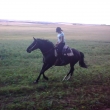 l�to 2011